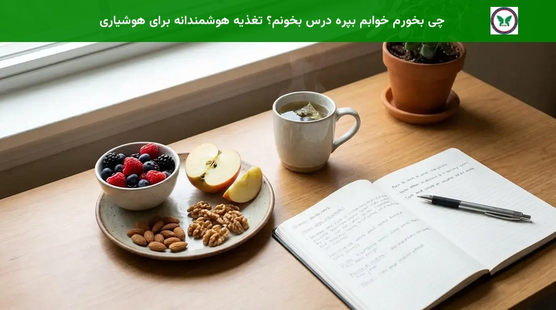 چی بخورم خوابم بپره درس بخونم؟ تغذیه هوشمندانه برای هوشیاری